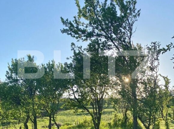 Casa de vânzare 2 camere Apahida - 169353CV | BLITZ Cluj-Napoca | Poza4