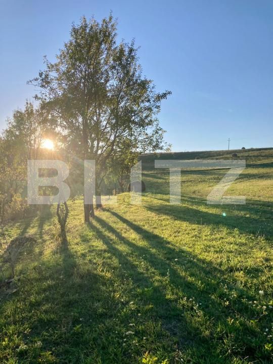 Casa de vânzare 2 camere Apahida - 169353CV | BLITZ Cluj-Napoca | Poza3