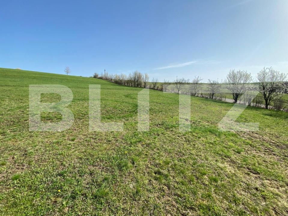 Casa de vânzare 2 camere Apahida - 169353CV | BLITZ Cluj-Napoca | Poza9