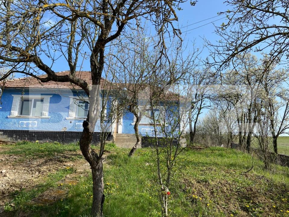 Casa de vânzare 2 camere Apahida - 169353CV | BLITZ Cluj-Napoca | Poza11