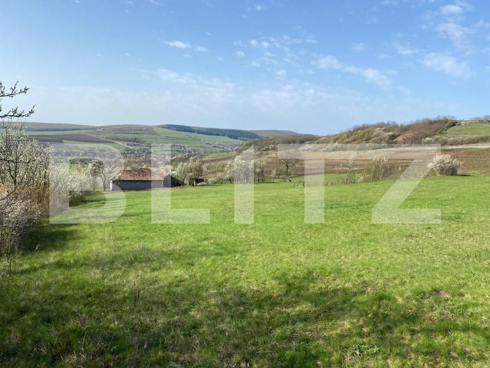 Casa de vânzare 2 camere Apahida - 169353CV | BLITZ Cluj-Napoca | Poza12