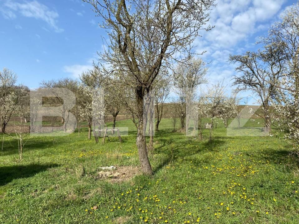 Casa de vânzare 2 camere Apahida - 169353CV | BLITZ Cluj-Napoca | Poza5