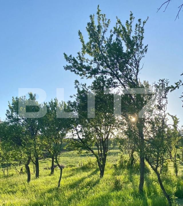 Casa de vânzare 2 camere Apahida - 169353CV | BLITZ Cluj-Napoca | Poza4