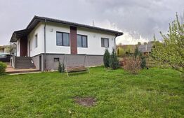 Casă la cheie cu teren de 1650 mp, Sălicea