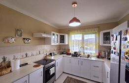 Casă la cheie cu teren de 1650 mp, Sălicea