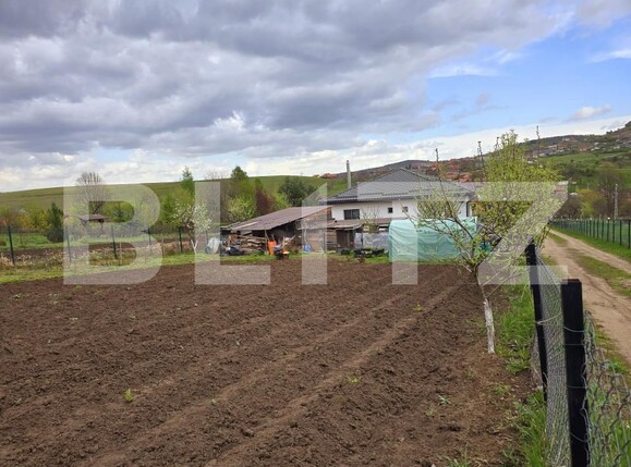 Casa de vânzare 3 camere Salicea - 169356CV | BLITZ Cluj-Napoca | Poza5