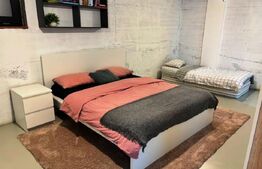 Duplex cu apartament independent, 190 mp utili, panorama, zona Vivo