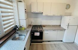 Garsoniera cocheta, 38mp, etaj intermediar, zona Teilor 