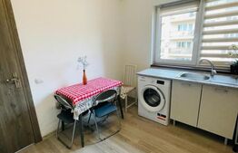 Garsoniera cocheta, 38mp, etaj intermediar, zona Teilor 