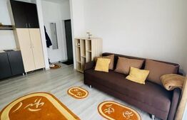 Garsoniera cocheta, 38mp, etaj intermediar, zona Teilor 