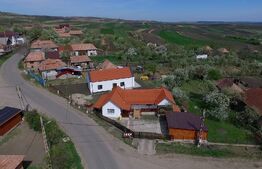 Casă primitoare, Ceanu Mic, terasa, garaj, curte cu pomi, COMISION 0 %