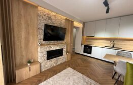 Apartament la cheie, gradina, parcare, zona Terra