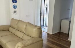 Oportunitate de investitie, 2 apartamente cu 2 camere, zona Tineretului