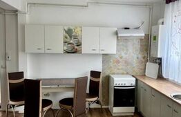 Oportunitate de investitie, 2 apartamente cu 2 camere, zona Tineretului