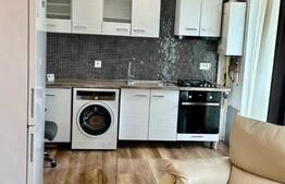 Oportunitate de investitie, 2 apartamente cu 2 camere, zona Tineretului