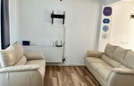 Oportunitate de investitie, 2 apartamente cu 2 camere, zona Tineretului