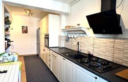 Apartament tip penthouse de vanzare, 2 camere, terasa, zona Coresi