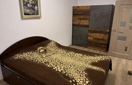 Apartament 2 camere, intermediar,finisat si mobilat, Zona Terra