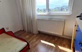 Apartament cu 3 Camere Spațios și Luminos de Vânzare –Zona Gării