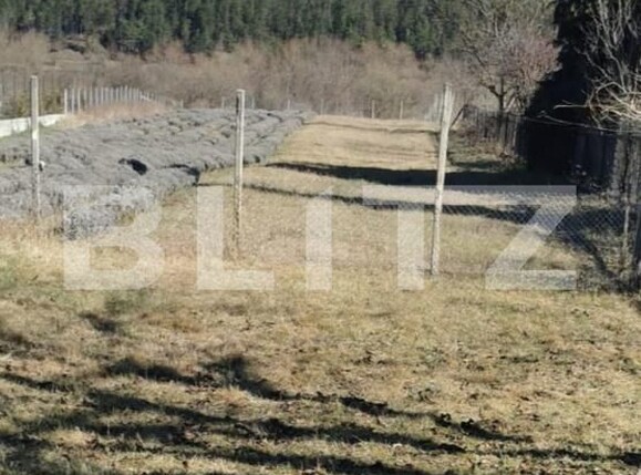 Teren de vânzare Gilău - 169540TV | BLITZ Cluj-Napoca | Poza1