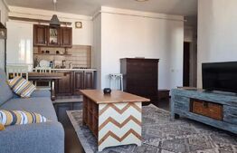 Apartament 2 camere, 50 mp, Pet Friendly, zona strazii Alverna