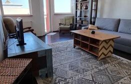 Apartament 2 camere, 50 mp, Pet Friendly, zona strazii Alverna