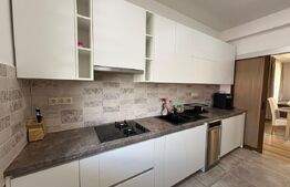 Duplex 7 camere, pet friendly, parcare, zona Europa