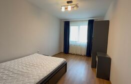 Duplex 7 camere, pet friendly, parcare, zona Europa