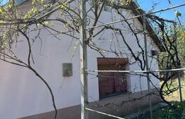 2 case cu teren 1100mp, toate utilitatile, asfalt, Cojocna