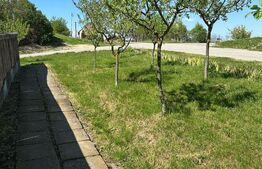 2 case cu teren 1100mp, toate utilitatile, asfalt, Cojocna