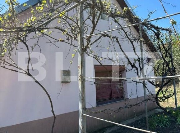 Casa de vânzare 4 camere Cojocna - 169620CV | BLITZ Cluj-Napoca | Poza6