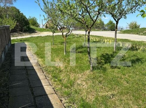 Casa de vânzare 4 camere Cojocna - 169620CV | BLITZ Cluj-Napoca | Poza4