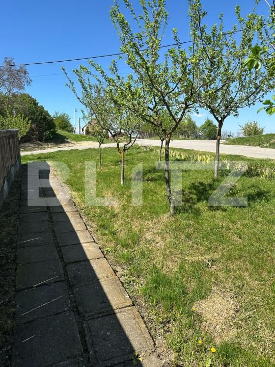 Casa de vânzare 4 camere Cojocna - 169620CV | BLITZ Cluj-Napoca | Poza4