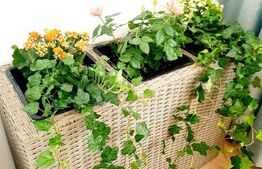 Apartament de vanzare, cu 3 camere, 70 mp, zona Manastur