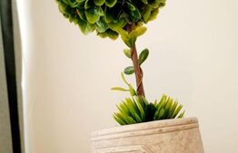 Apartament de vanzare, cu 3 camere, 70 mp, zona Manastur