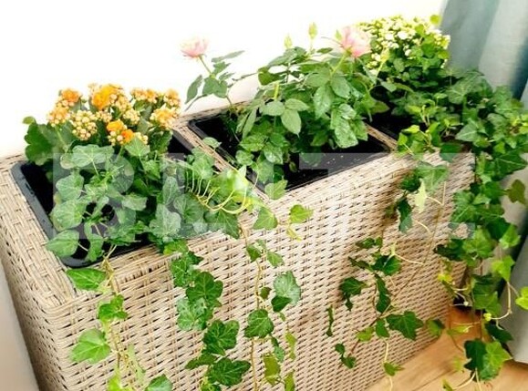 Apartament de vânzare 3 camere Manastur - 169684AV | BLITZ Cluj-Napoca | Poza11