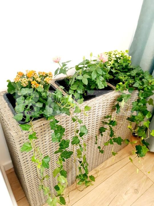 Apartament de vânzare 3 camere Manastur - 169684AV | BLITZ Cluj-Napoca | Poza10