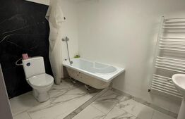 Apartament de vanzare, cu 2 camere, 65 mp, zona centrala