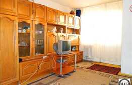 Apartament 1 camera, 28 mp, zona strazii Grigore Alexandrescu