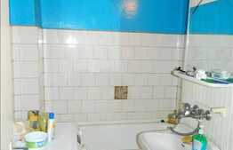 Apartament 1 camera, 28 mp, zona strazii Grigore Alexandrescu