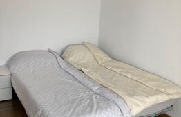 Apartament 3 camere, 80mp, Pet Friendly, zona Carmen Silva