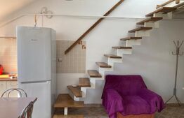 Apartament 3 camere, 80mp, Pet Friendly, zona Carmen Silva