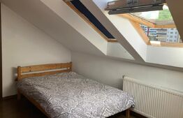 Apartament 3 camere, 80mp, Pet Friendly, zona Carmen Silva