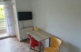 Apartament 2 camere decomandat, pet friendly, Zona Campului