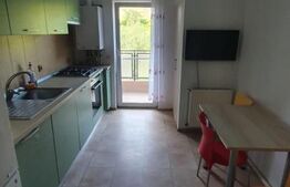 Apartament 2 camere decomandat, pet friendly, Zona Campului