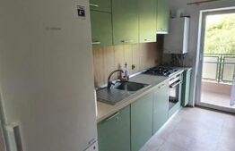 Apartament 2 camere decomandat, pet friendly, Zona Campului