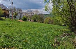 Teren intravilan, 1865 mp,  de vanzare in Moieciu - Brasov