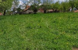 Teren intravilan, 1865 mp,  de vanzare in Moieciu - Brasov