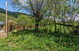 Teren intravilan, 1865 mp,  de vanzare in Moieciu - Brasov