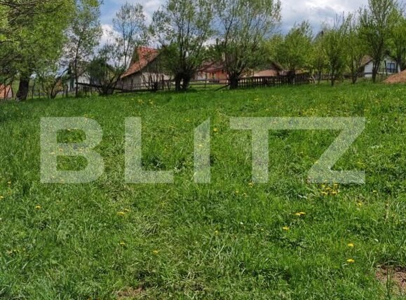 Teren de vânzare Moieciu de jos - 169785TV | BLITZ Brașov | Poza4